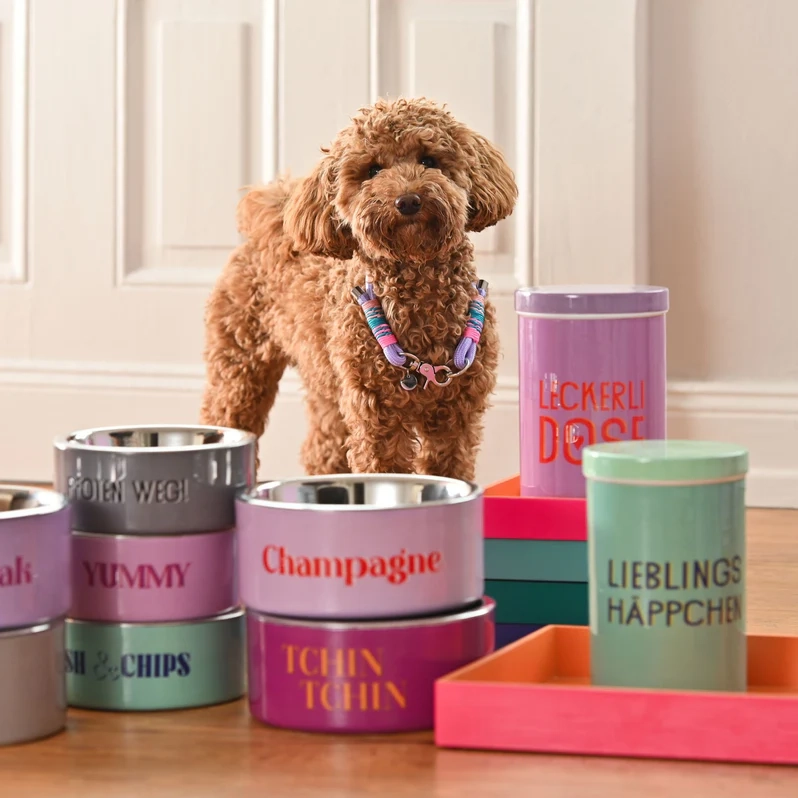 Ciotola per Cani in Acciaio Inox Gift Company “Champagne” – Rosa Ø 20 cm