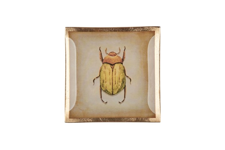 Piatto Decorativo Gift Company Bug – Love Plates Vetro 10 cm