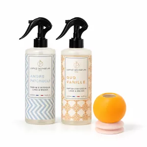Home Fragrance Gift Set: 2 Room Sprays & Hand-Painted Ceramic Vase