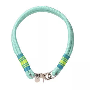 Collare per Cani di Piccola Taglia e Gatti Gift Company – Poliestere Intrecciato Ø 38 cm Verde