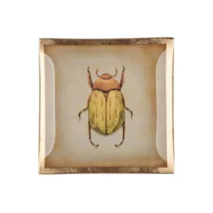 Piatto Decorativo Gift Company Bug – Love Plates Vetro 10 cm